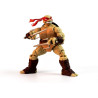 Teenage Mutant Ninja Turtles - BST AXN IDW - Raphael Action Figure and Comic Book Set
