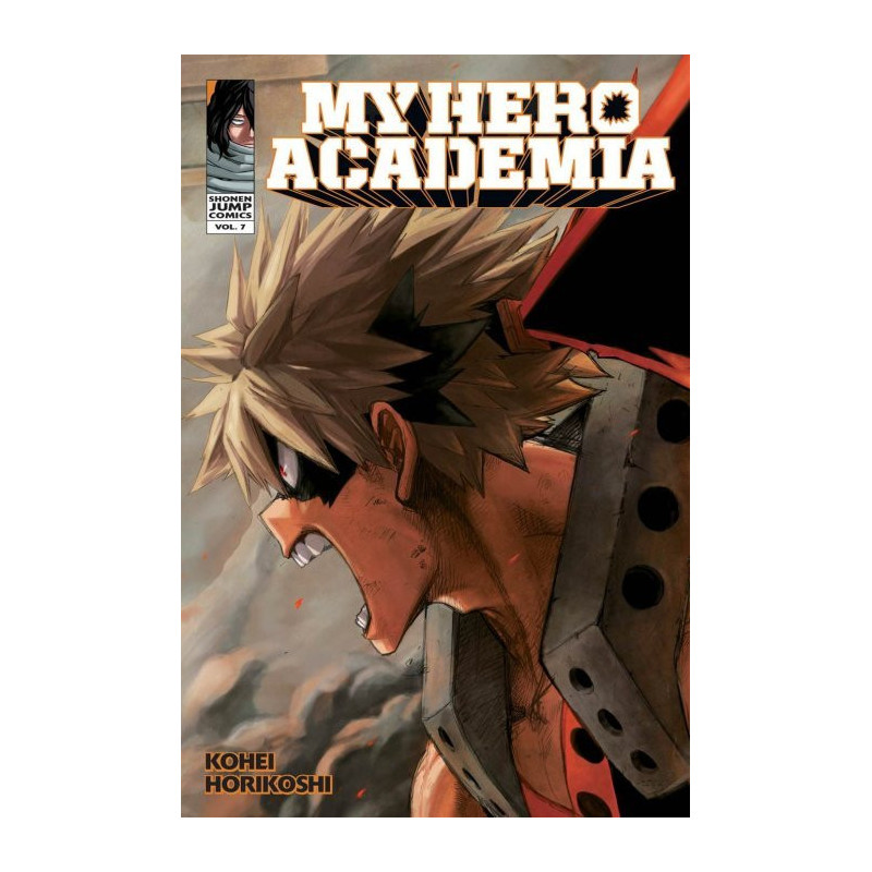 My Hero Academia  Soft Cover  7
