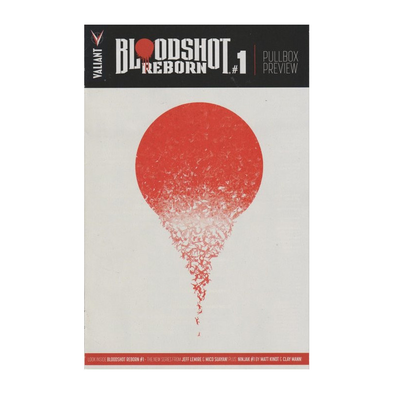 Valiant Next Pullbox Preview: Bloodshot Reborn One-Shot Issue 1
