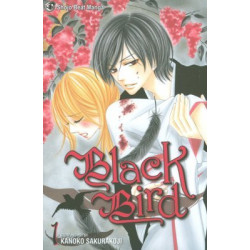Black Bird  Soft Cover 1