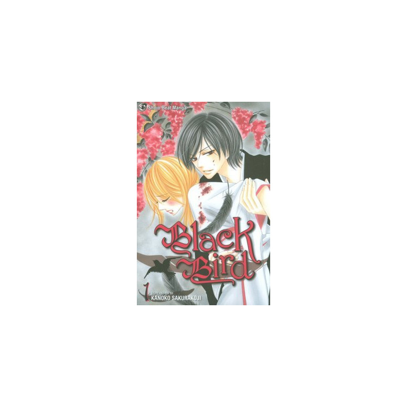 Black Bird  Soft Cover 1