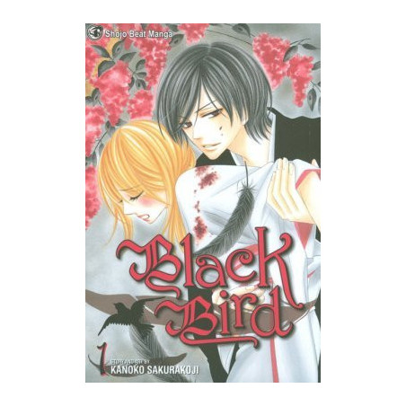 Black Bird  Soft Cover 1