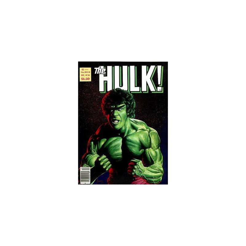 Hulk Magazine Issue 24