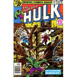 The Incredible Hulk Vol. 1 Issue 234