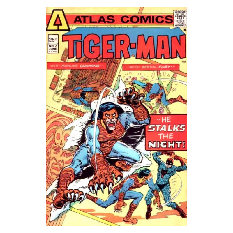 Tiger-Man Issue 2