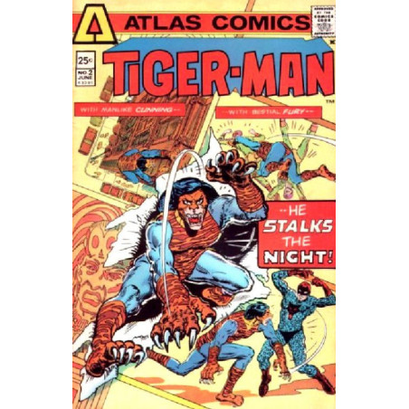 Tiger-Man Issue 2