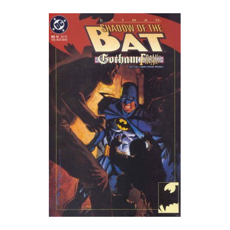 Batman: Shadow of the Bat  Issue 14