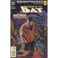 Batman: Shadow of the Bat  Issue 22