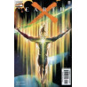 Earth X  Issue X