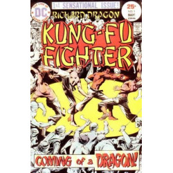 Richard Dragon Kung-Fu Fighter  Issue 1