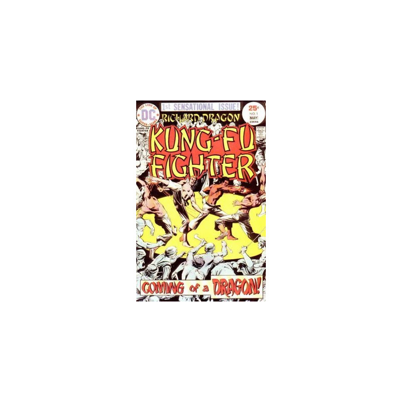 Richard Dragon Kung-Fu Fighter  Issue 1