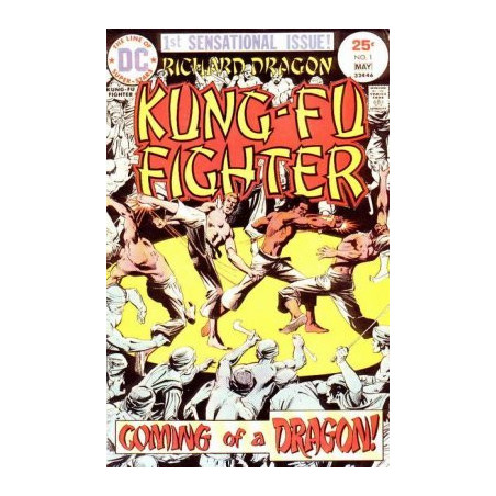 Richard Dragon Kung-Fu Fighter  Issue 1