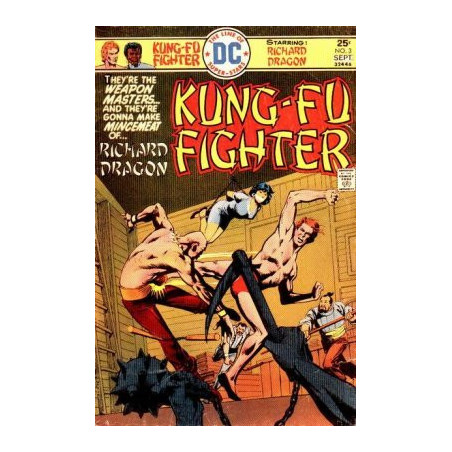 Richard Dragon Kung-Fu Fighter  Issue 3