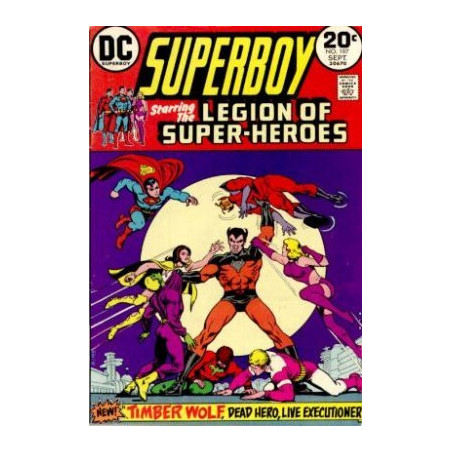 Superboy Vol. 1 Issue 197