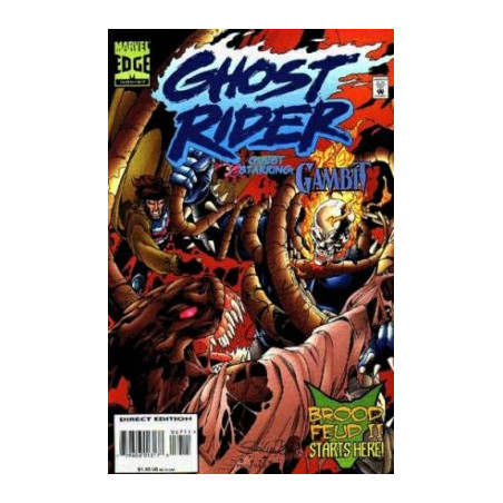 Ghost Rider Vol. 3 Issue 67