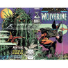 Marvel Comics Presents Vol. 1 Issue   1