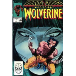 Marvel Comics Presents Vol. 1 Issue   3