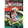 Marvel Comics Presents Vol. 1 Issue   4