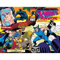 Marvel Comics Presents Vol. 1 Issue  30