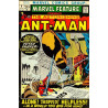 Marvel Fanfare Vol. 1 Issue  4
