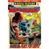 Marvel Fanfare Vol. 1 Issue  5