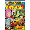 Marvel Fanfare Vol. 1 Issue  8