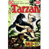 Tarzan Vol. 1 Issue 213