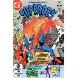 New Adventures of Superboy  Issue 30