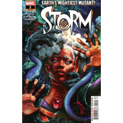 Storm Vol. 5 Issue 2