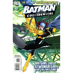 Batman: Confidential  Issue 17