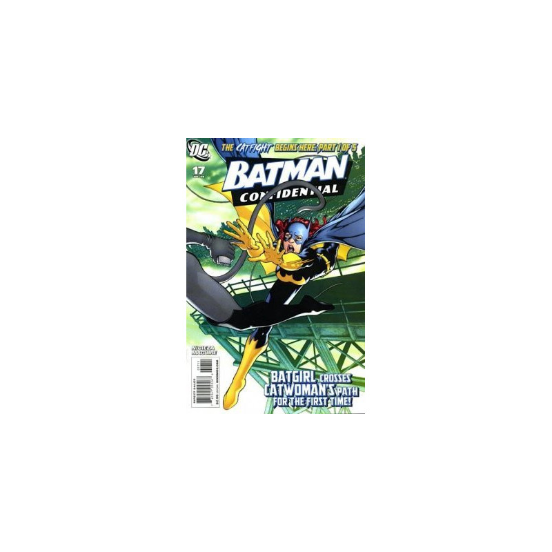 Batman: Confidential  Issue 17