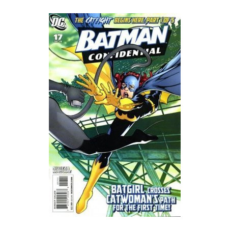 Batman: Confidential  Issue 17