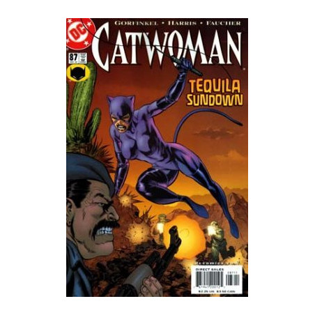 Catwoman Vol. 2 Issue 87