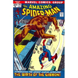 The Amazing Spider-Man Vol. 1 Issue 110