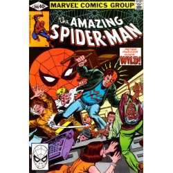 The Amazing Spider-Man Vol. 1 Issue 206