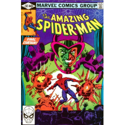 The Amazing Spider-Man Vol. 1 Issue 207