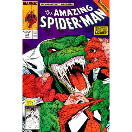 The Amazing Spider-Man Vol. 1 Issue 313