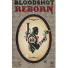 Bloodshot Reborn Issue 13b Variant