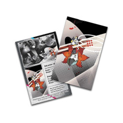 Pokémon TCG: Unova Mini Tin (Volcarona & Emolga)