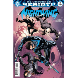 Nightwing Vol. 4 Issue   2b Variant