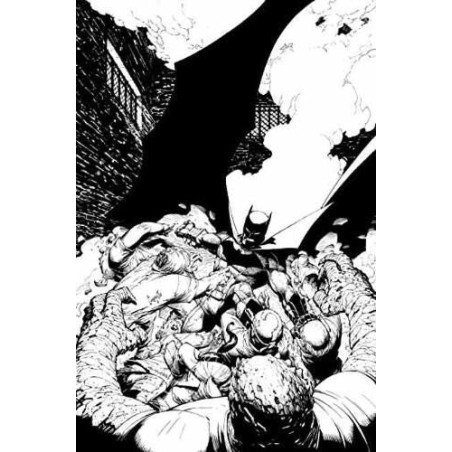 Coloring DC - Batman In Court of Owls An Adult Coloring Book