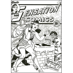 Coloring DC - Wonder Woman: An Adult Coloring Book