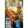Firestorm  Issue 22