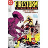 Firestorm, the Nuclear Man Vol. 2 Issue 73