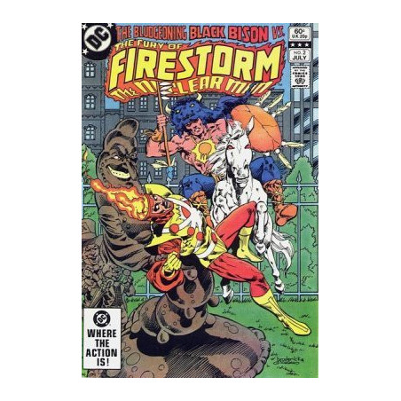 Fury of Firestorm  Issue  2
