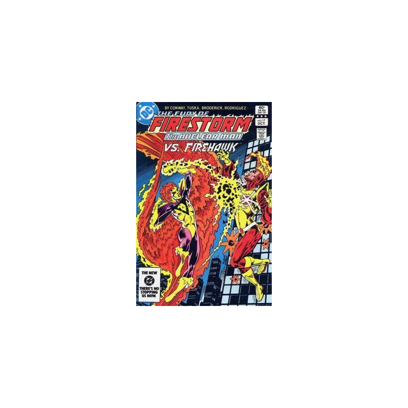 Fury of Firestorm  Issue 17