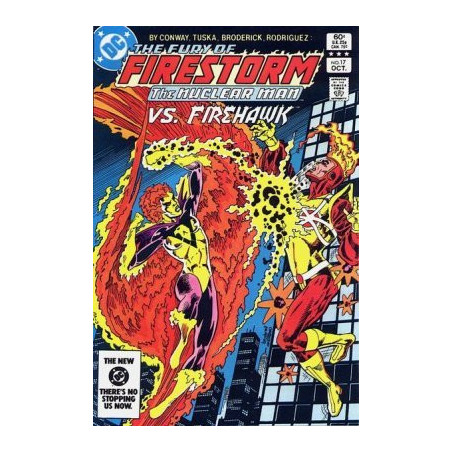 Fury of Firestorm  Issue 17