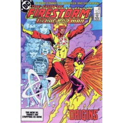 Fury of Firestorm  Issue 22