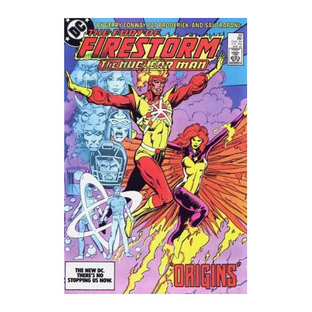 Fury of Firestorm  Issue 22