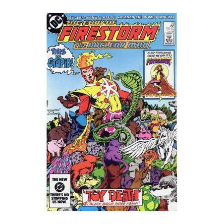 Fury of Firestorm  Issue 25
